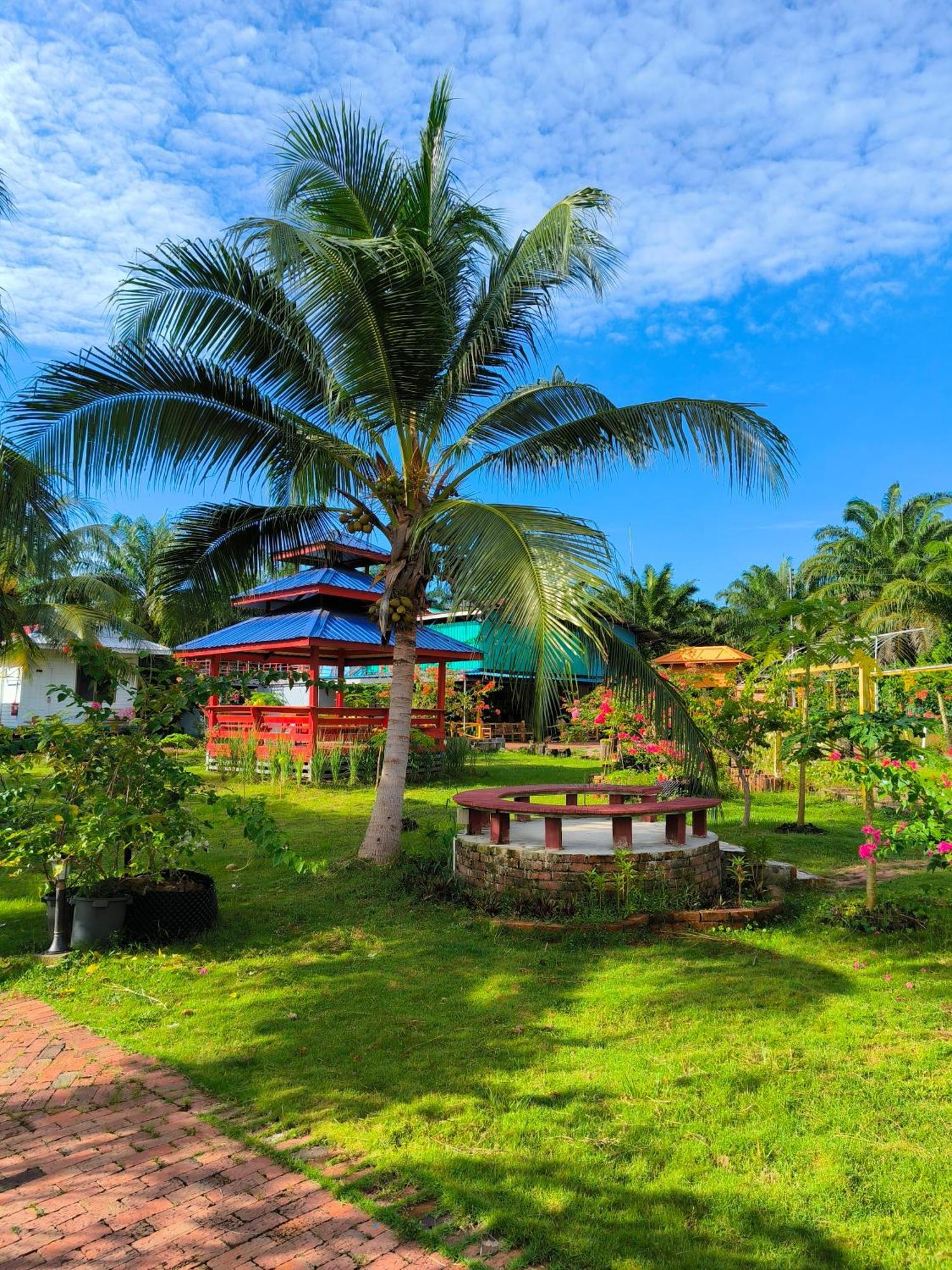 Shunde Palm Resort 仙本那顺德人家棕榈园 Экстерьер фото