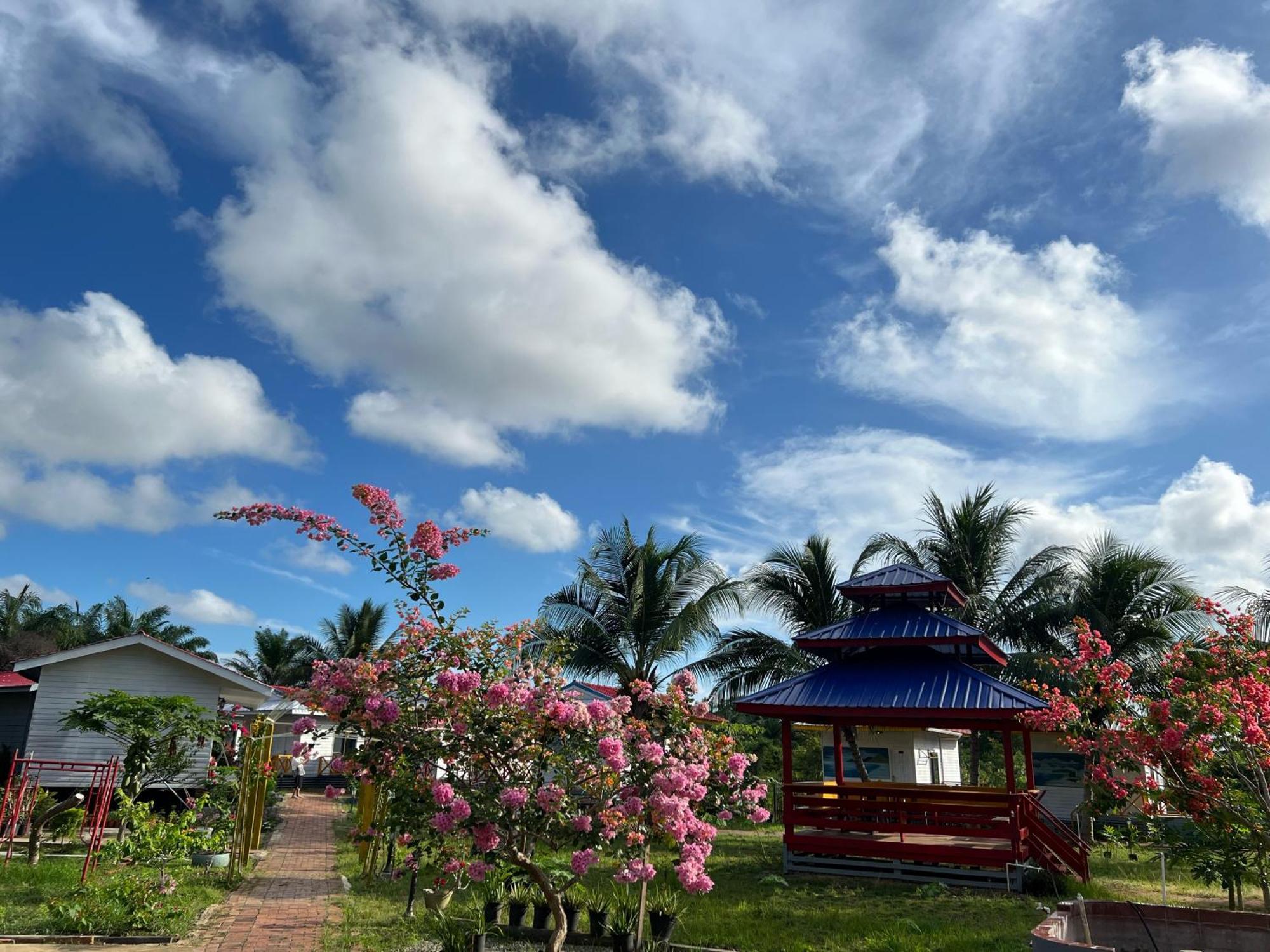 Shunde Palm Resort 仙本那顺德人家棕榈园 Экстерьер фото