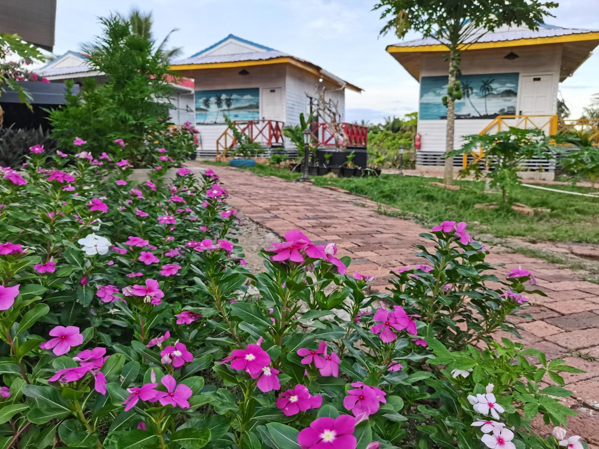 Shunde Palm Resort 仙本那顺德人家棕榈园 Экстерьер фото